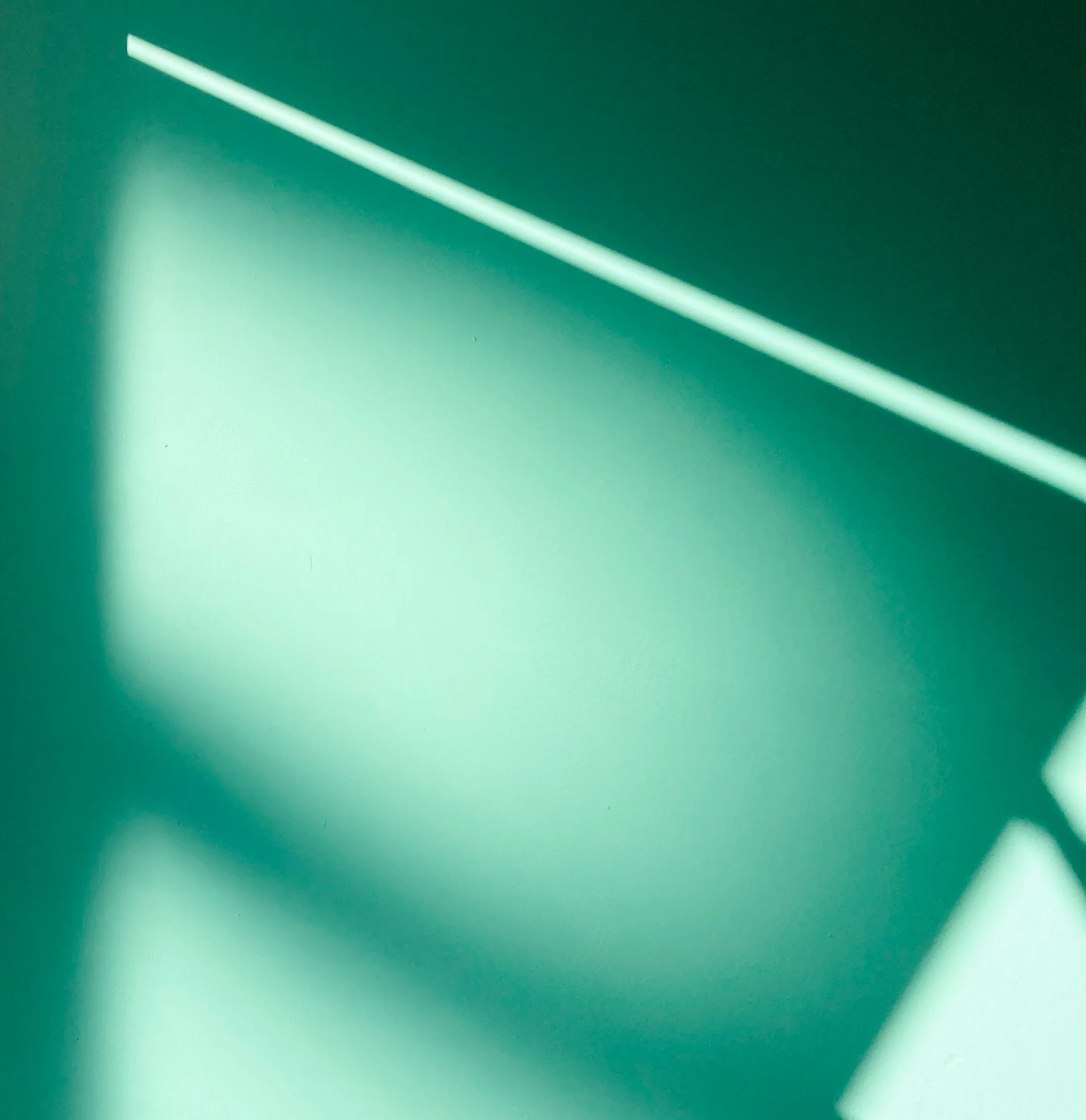 Electric Mint Green paint swatch
