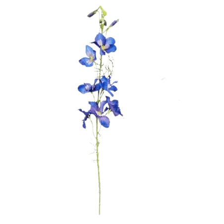 Faux Tall Larkspur