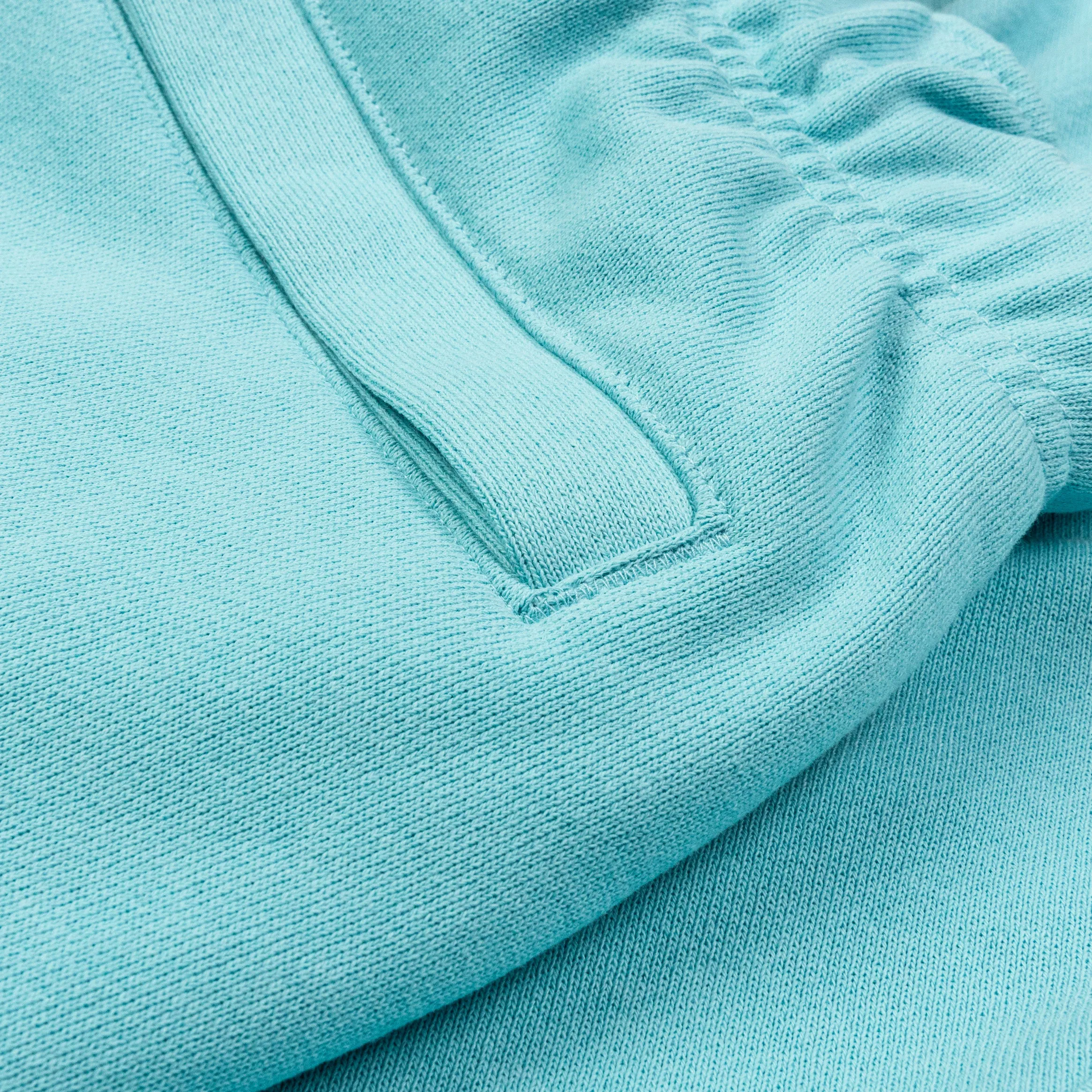 Flight Fleece Mens Shorts (Blue)