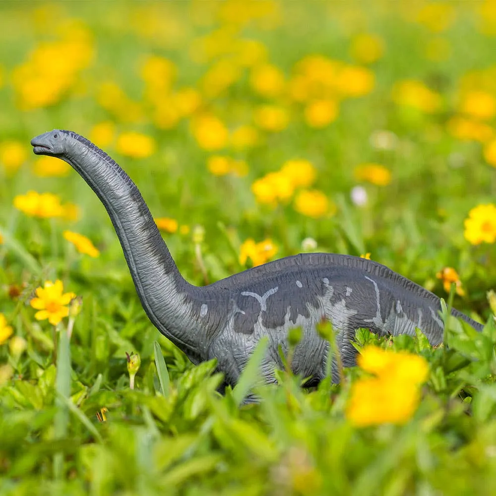Safari Ltd. - Apatosaurus - 30004
