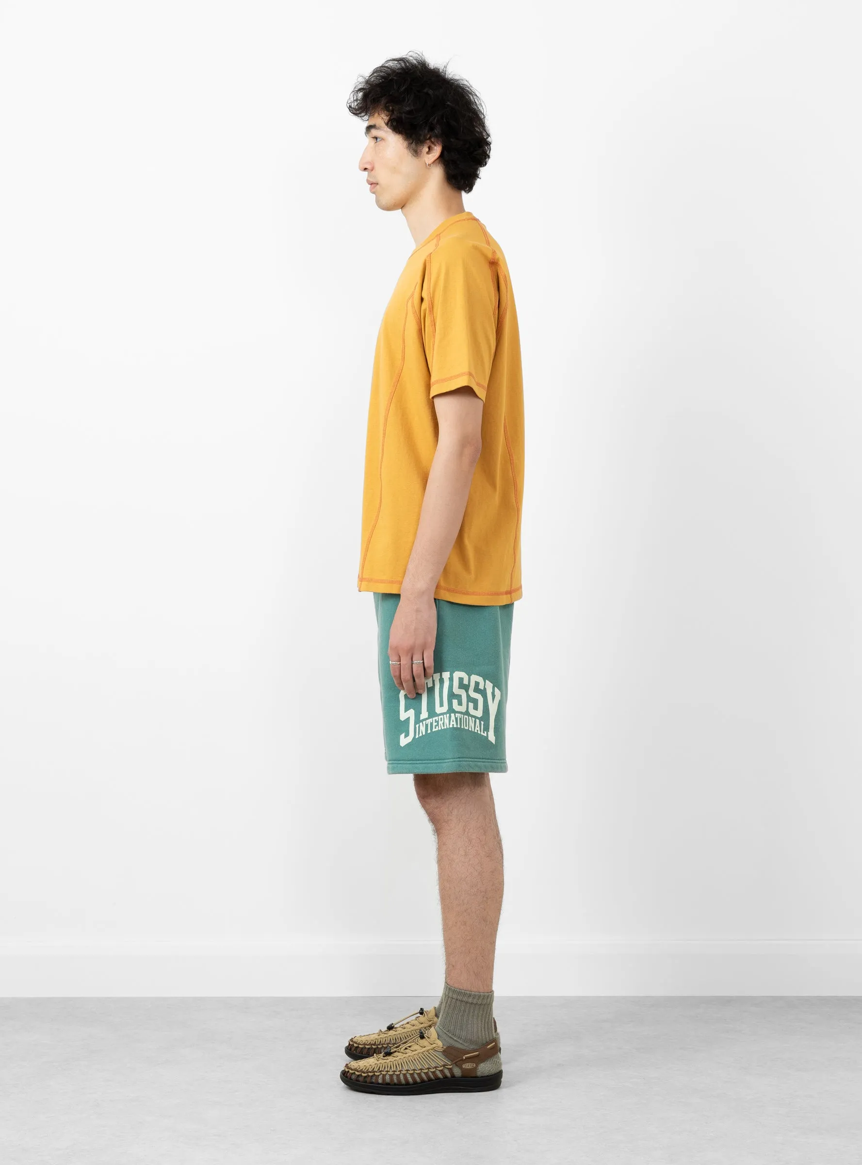 Stussy Intl Short Teal