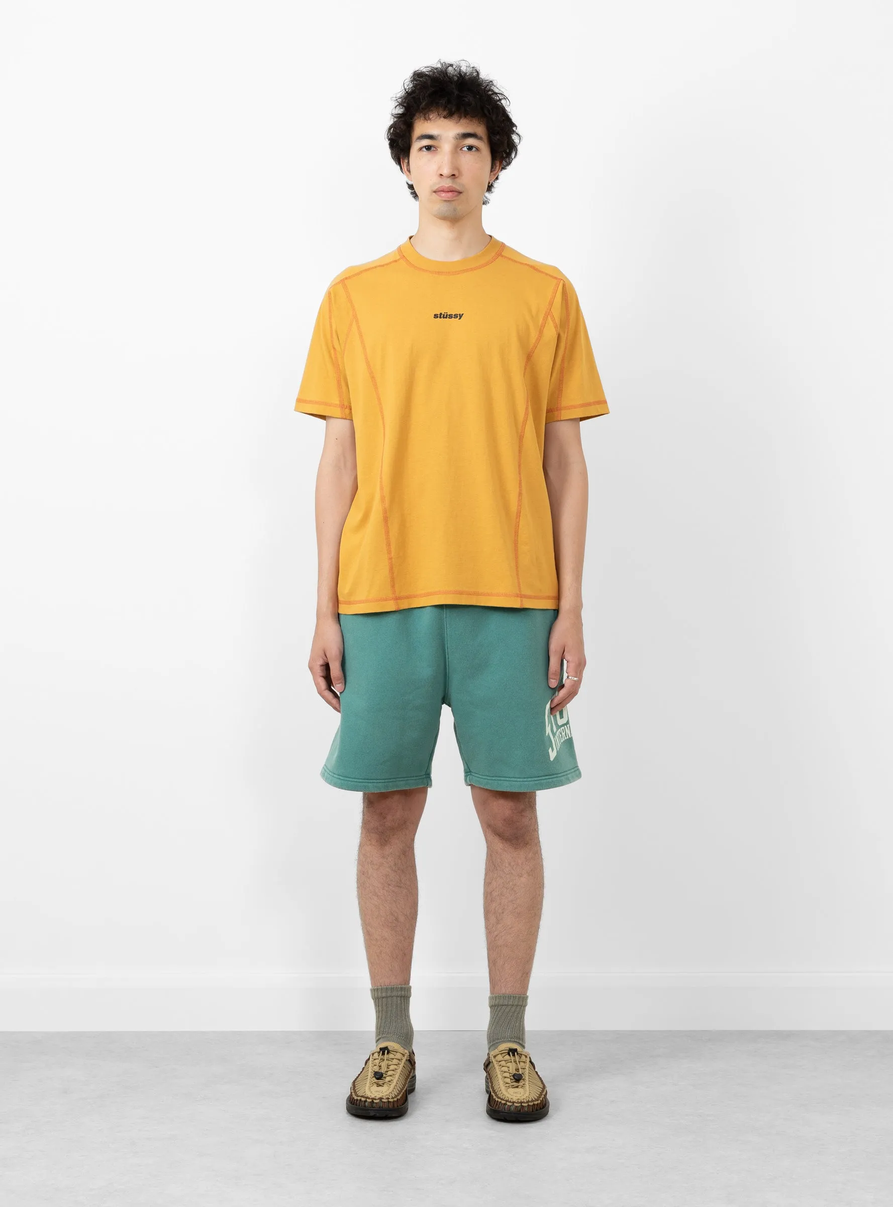 Stussy Intl Short Teal